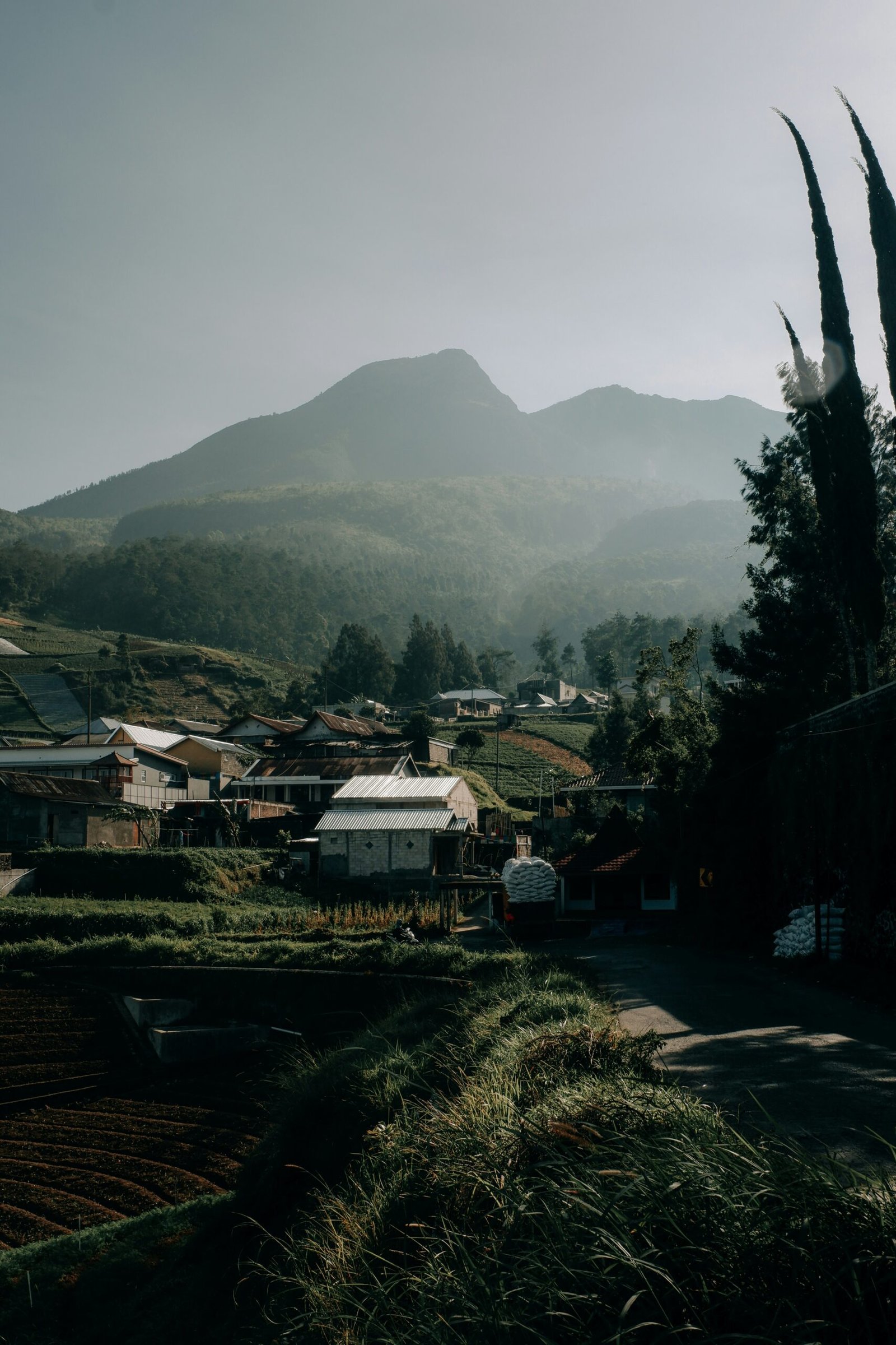 A view of a village with mountains in the background