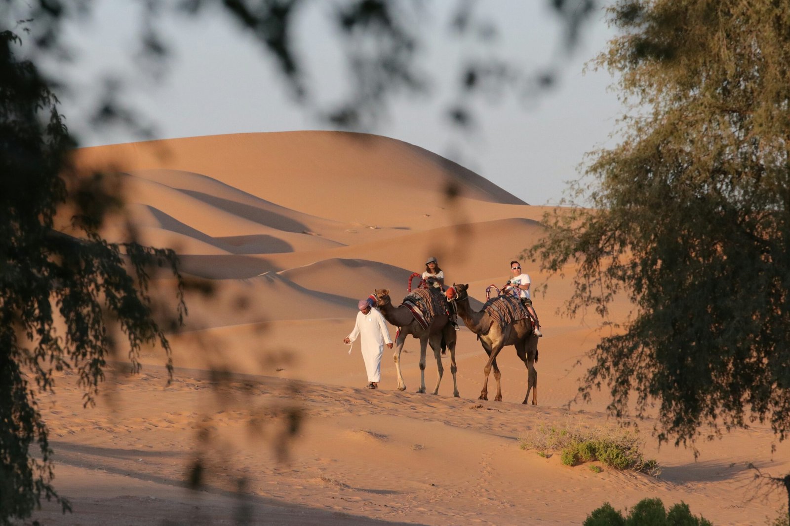 people riding camel on desert during daytime